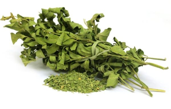 Moringa Leaves Powder Organic 100 gm